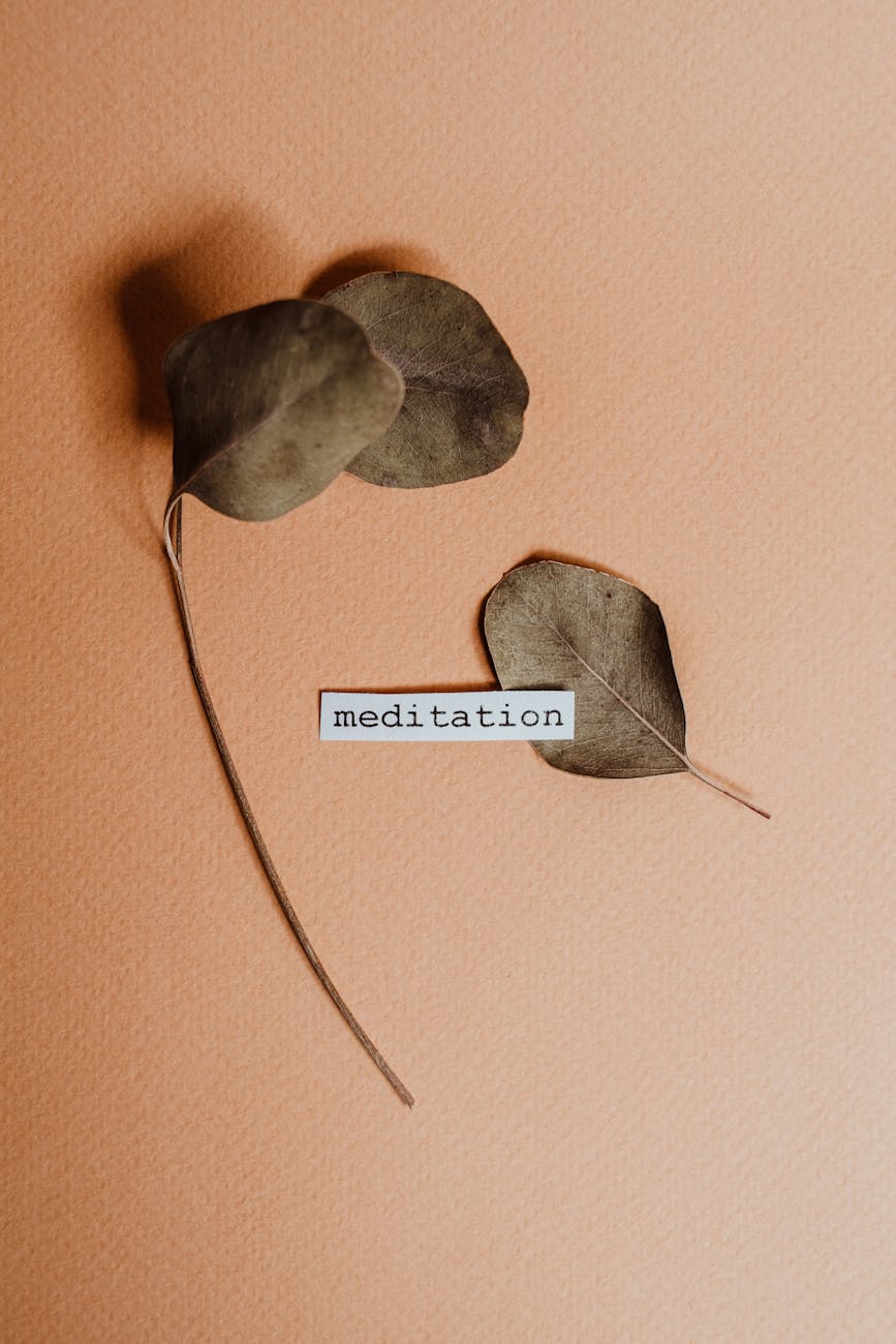 dried brown leaves with a word meditation